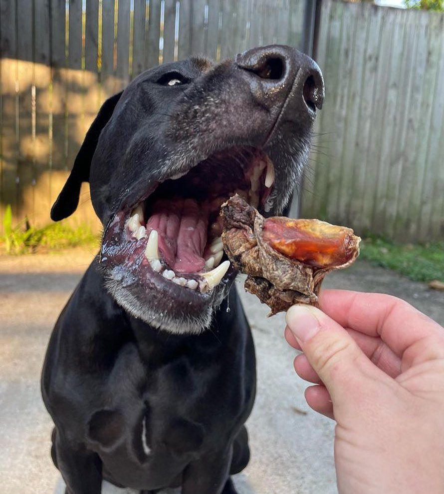 Trouble choosing treats? Here is a little glimpse of some popular dog treats.