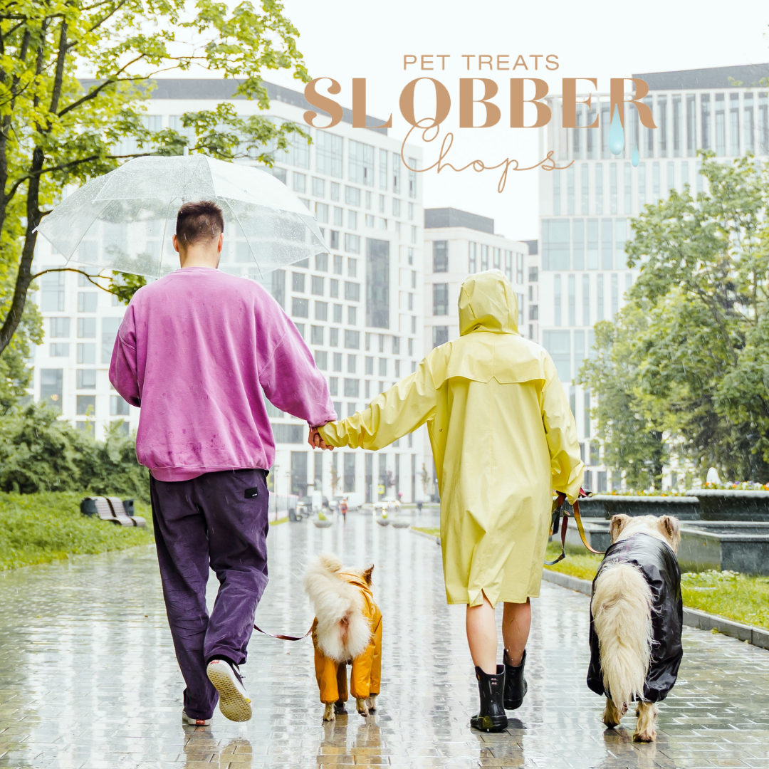 The Incredible Power of Canine Companions