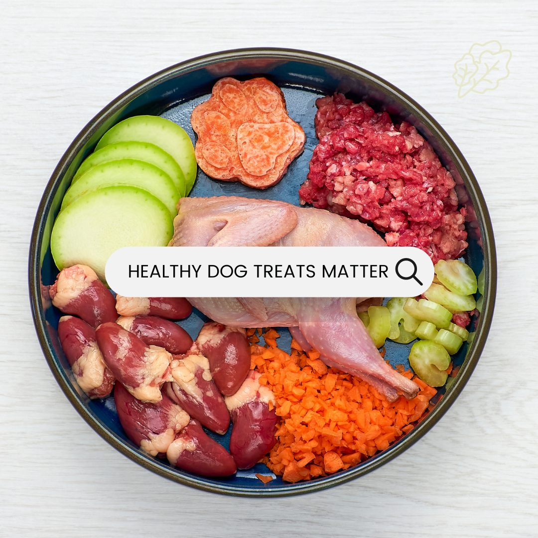 Healthy Dog Treats: Nourishing Your Furry Friend with Love