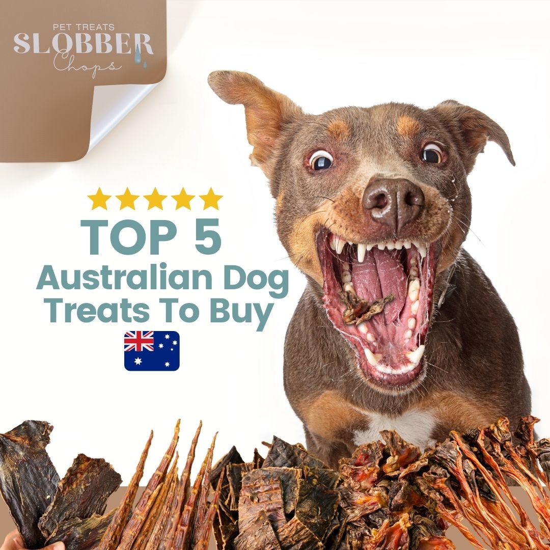 Slobber Top 5 Best Australian Dog Treats to Buy – Slobber Chops – Slobber Chops ...