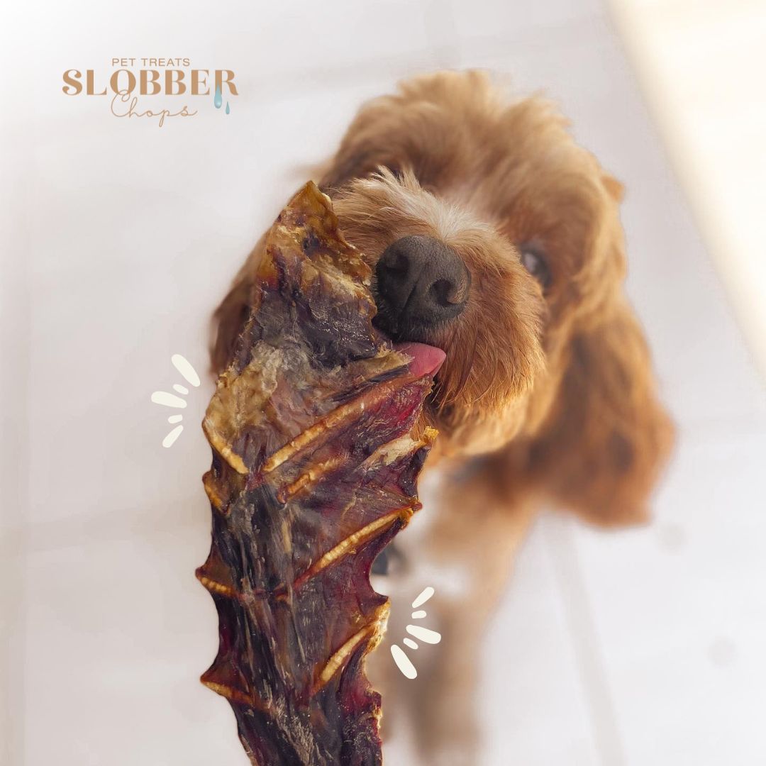 Embracing the Simplicity of Single ingredient Dog Treats