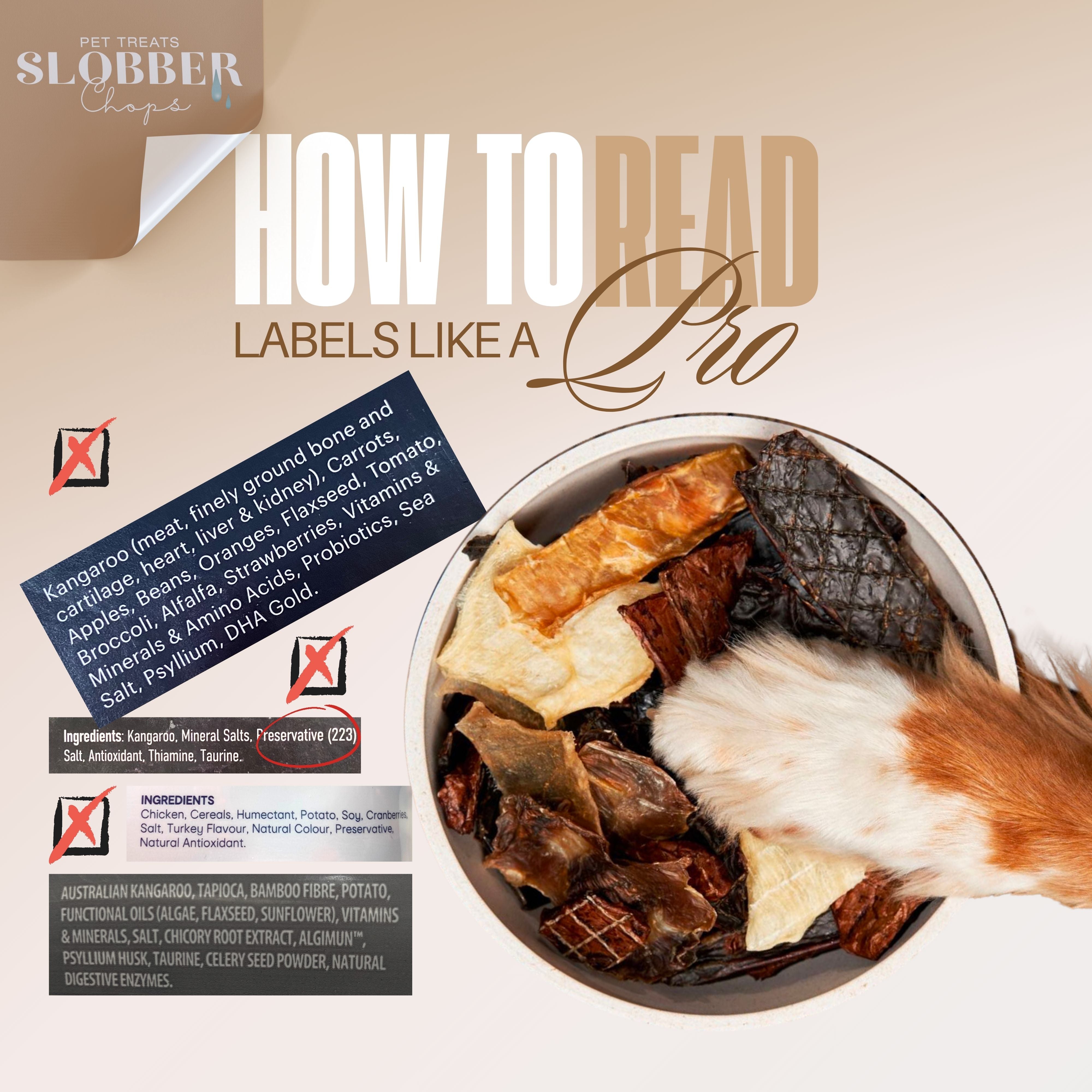 How to Read Dog Treat Labels Like a Pro