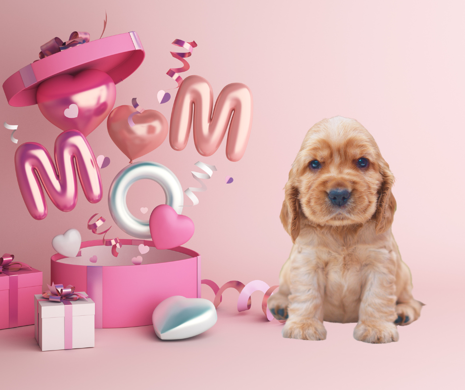 A Puppy for Mother's Day: A Heart Warming Gift That Keeps on Giving
