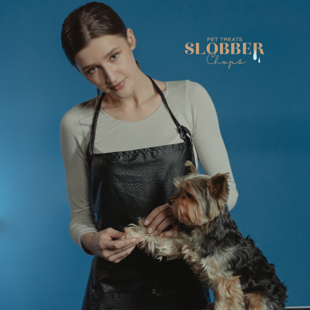 Grooming your dog and puppy - Things to know