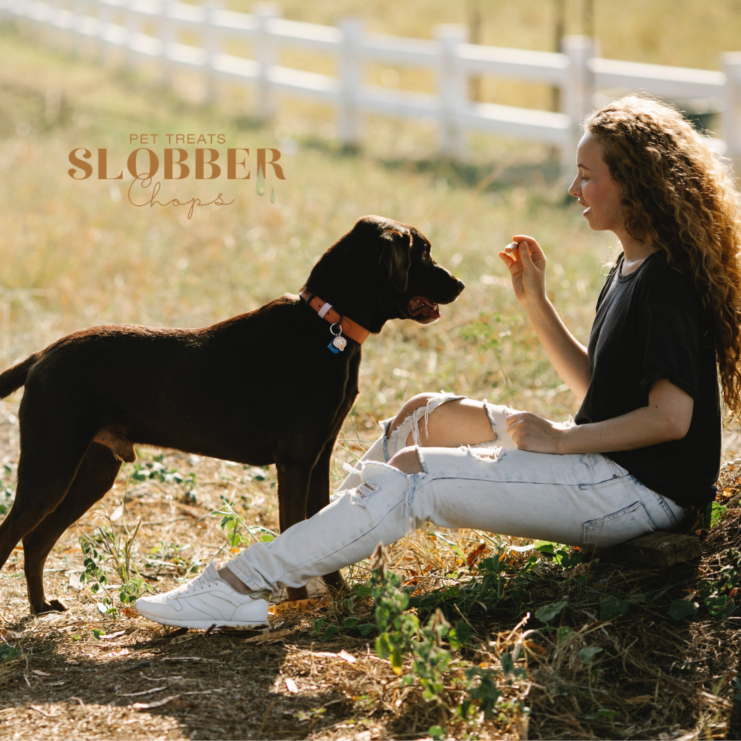 Toilet Training Tips for your new dog!