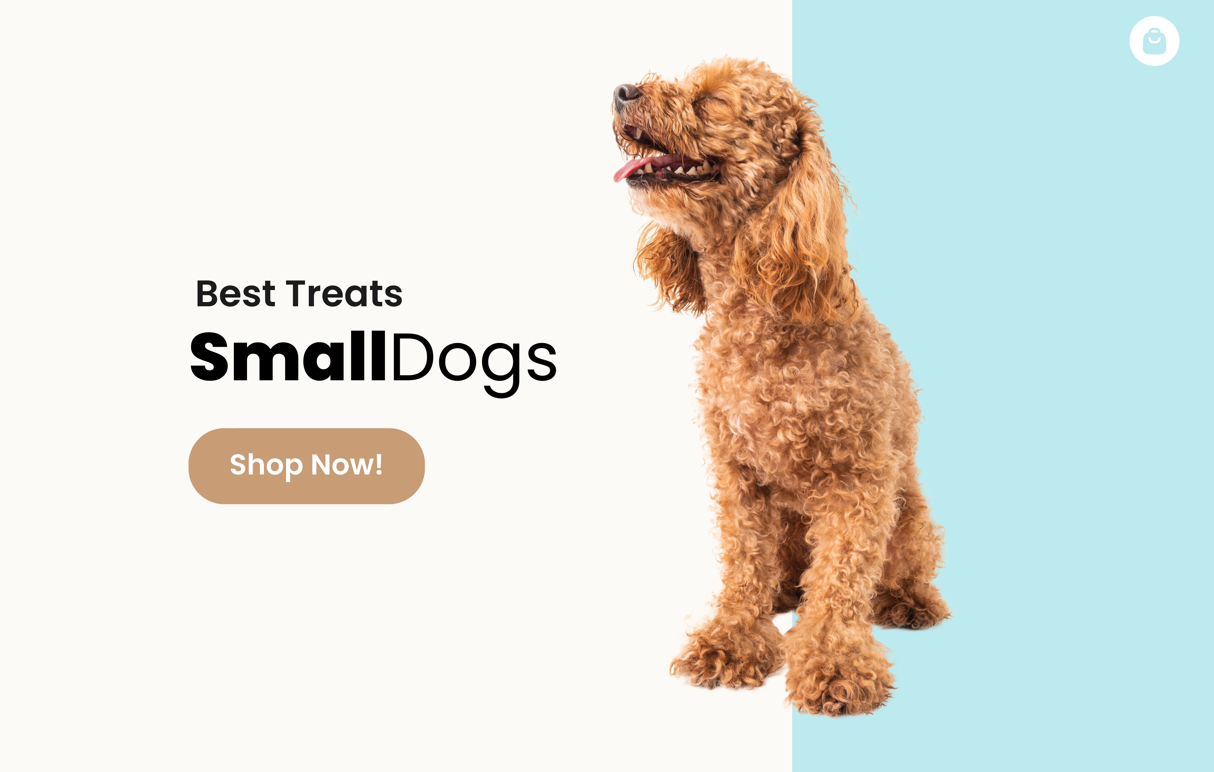 Small Dog Treats