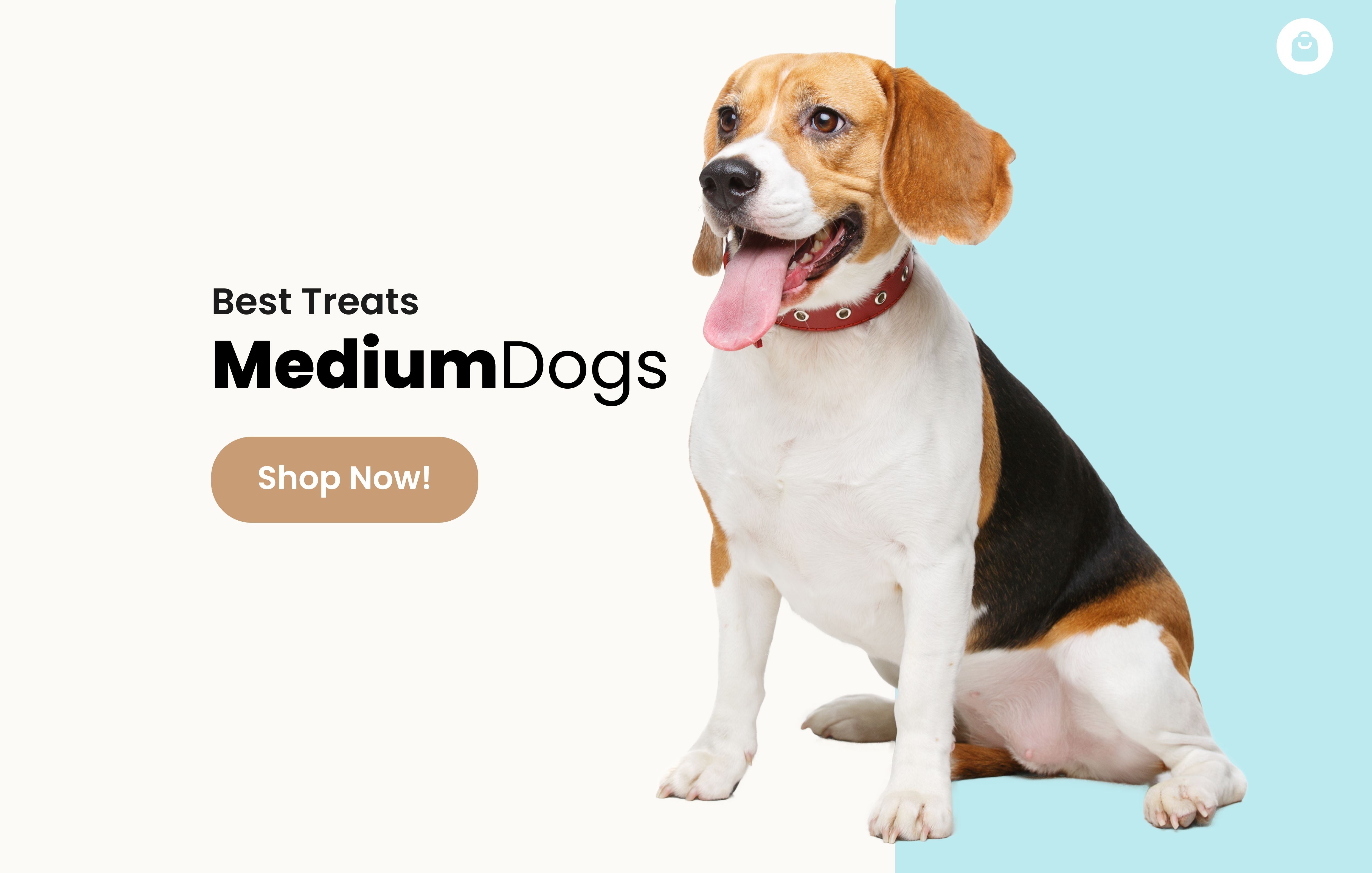 Medium Dog Treats