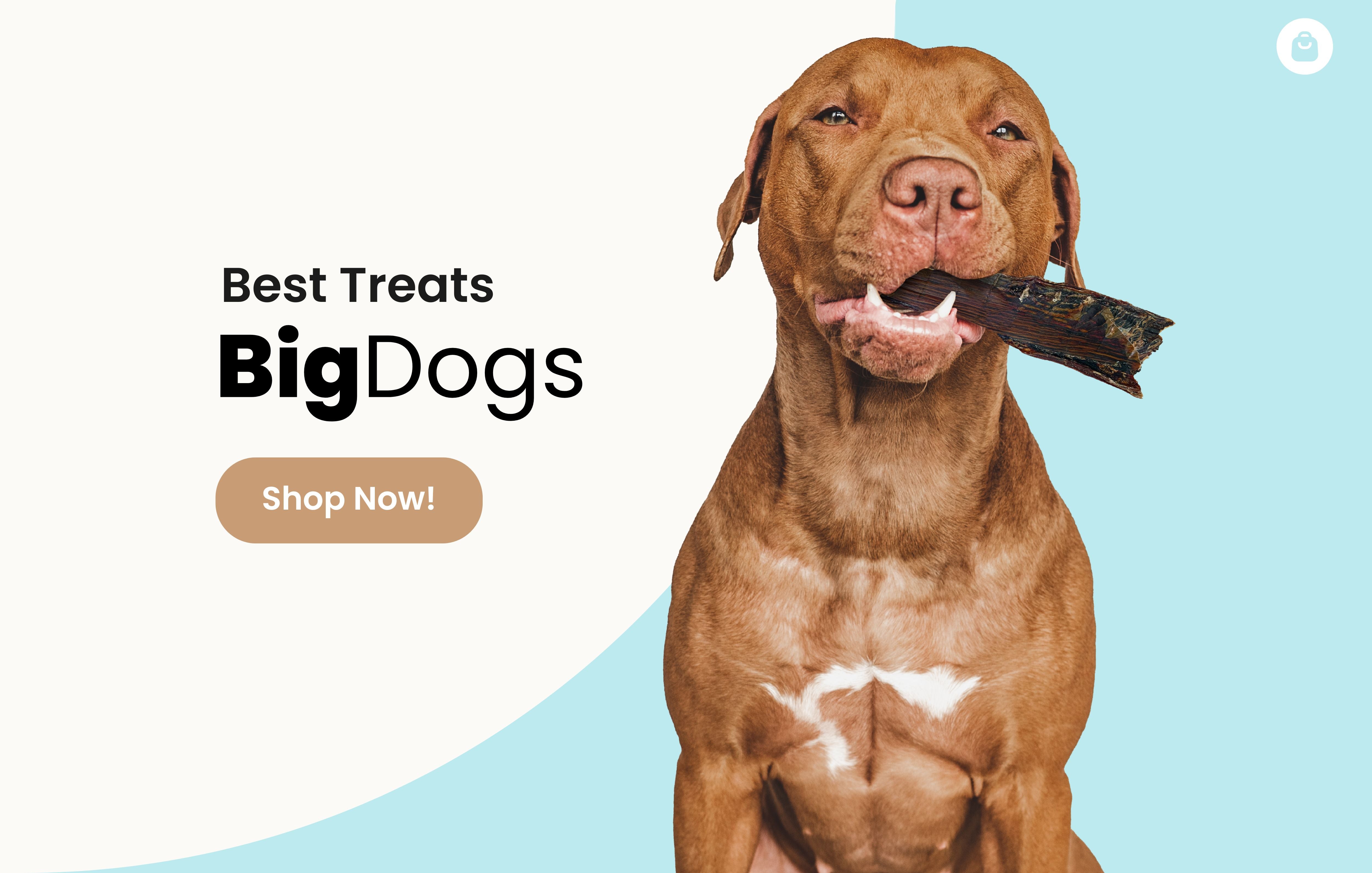 Large Dog Treats