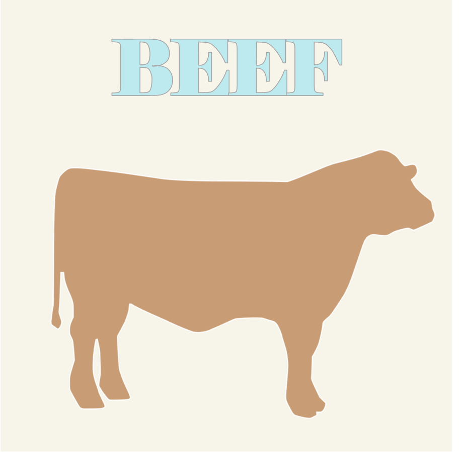 Dried Beef meat discount dog food treats 100% Australian Made