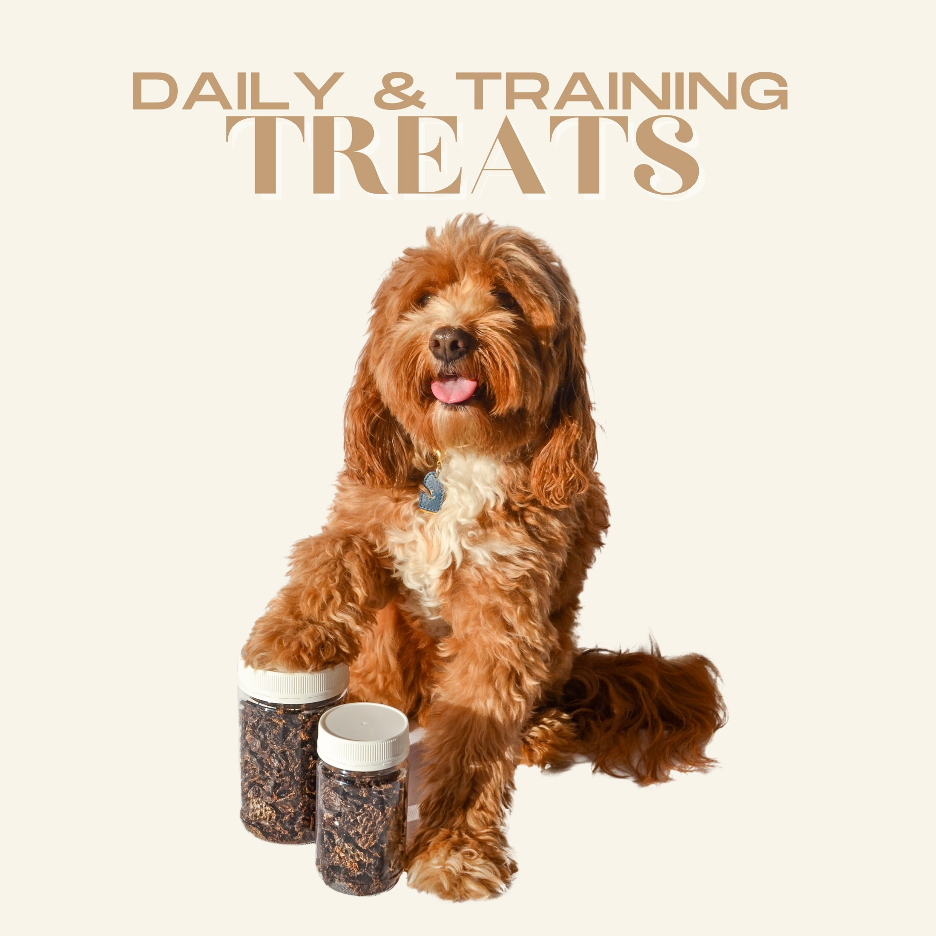 Daily & Training Treats