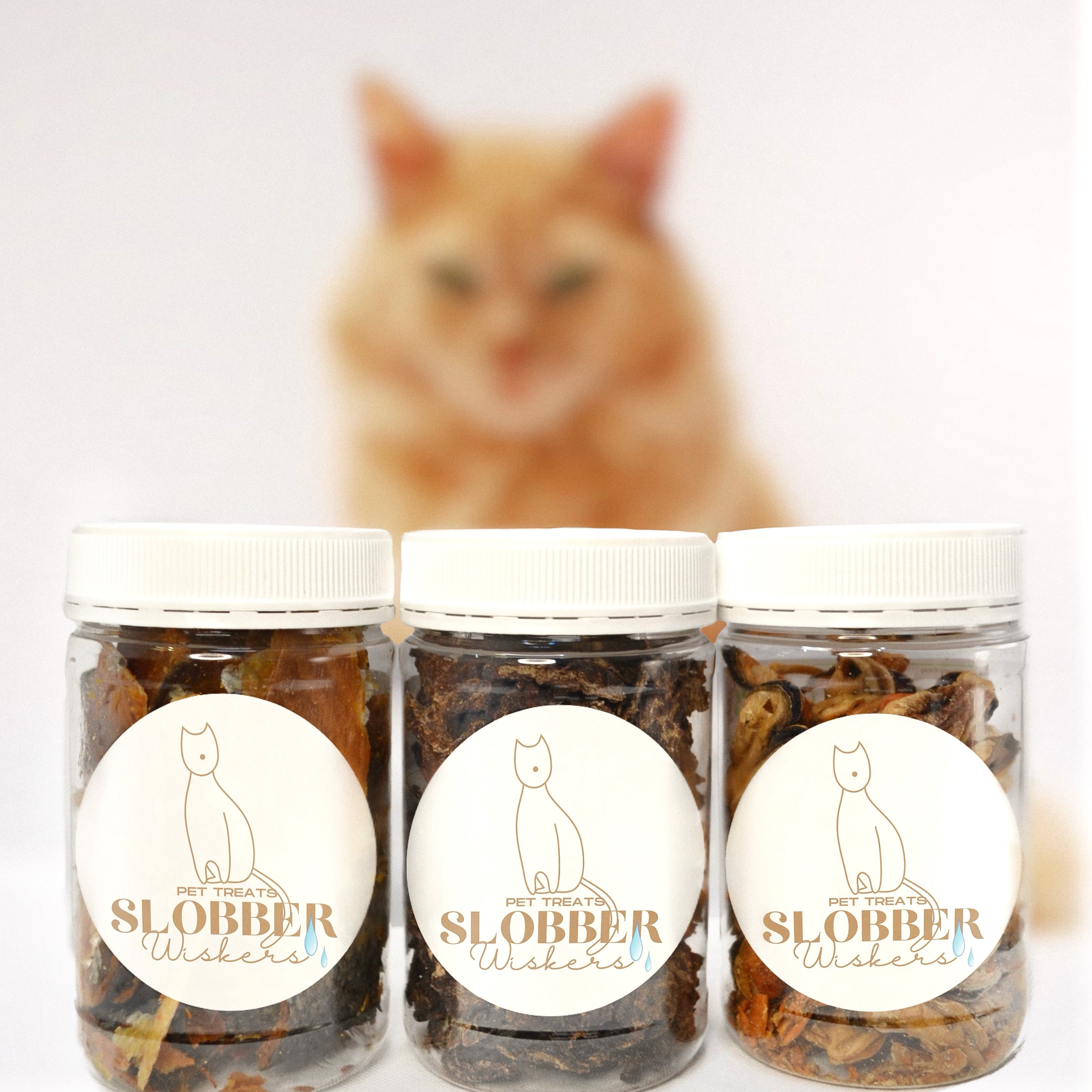 Cat Treats