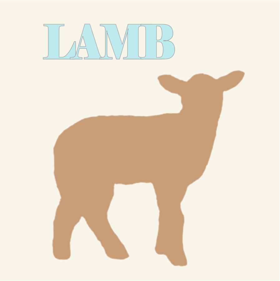 Dried Lamb meat discount dog food treats 100% Australian Made