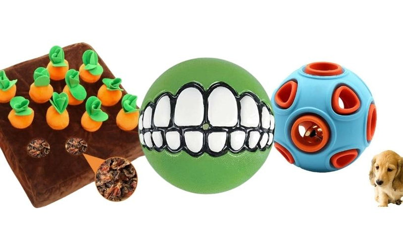 Dog Toys