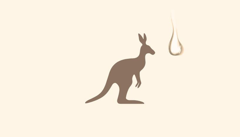 Dried Kangaroo meat discount dog food treats 100% Australian Made