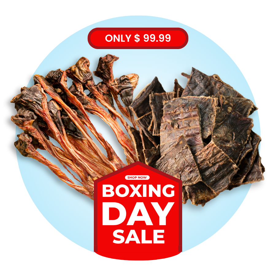 Roo Tendons + Jerky Short