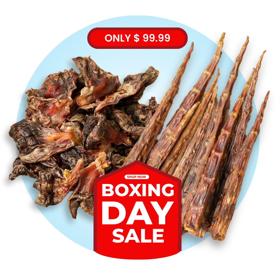 Cartilage + Tail Tips