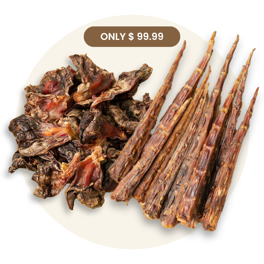 Cartilage + Tail Tips