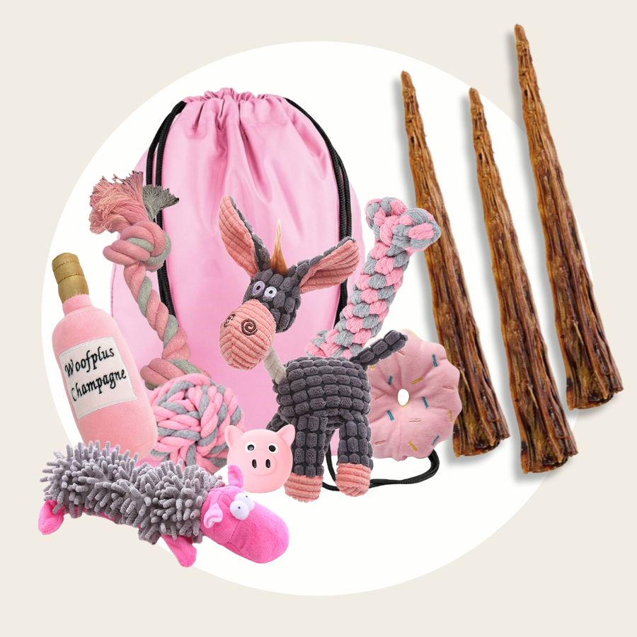 Pink Dog Toys Mega Pack + 3 Tail Tips
