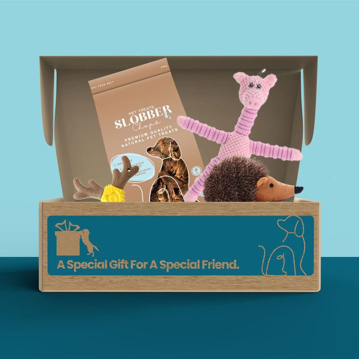 Dog Treat & Toys Present Box (Mini)