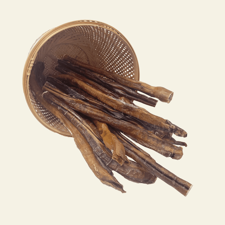 Beef Pizzle Bully Stick for Dogs