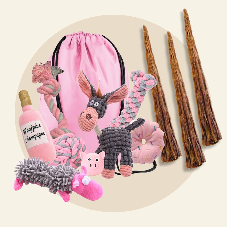 Pink Dog Toys Mega Pack + 3 Tail Tips