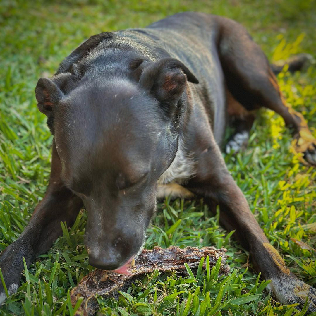 Roo Back Bone - Dog treat