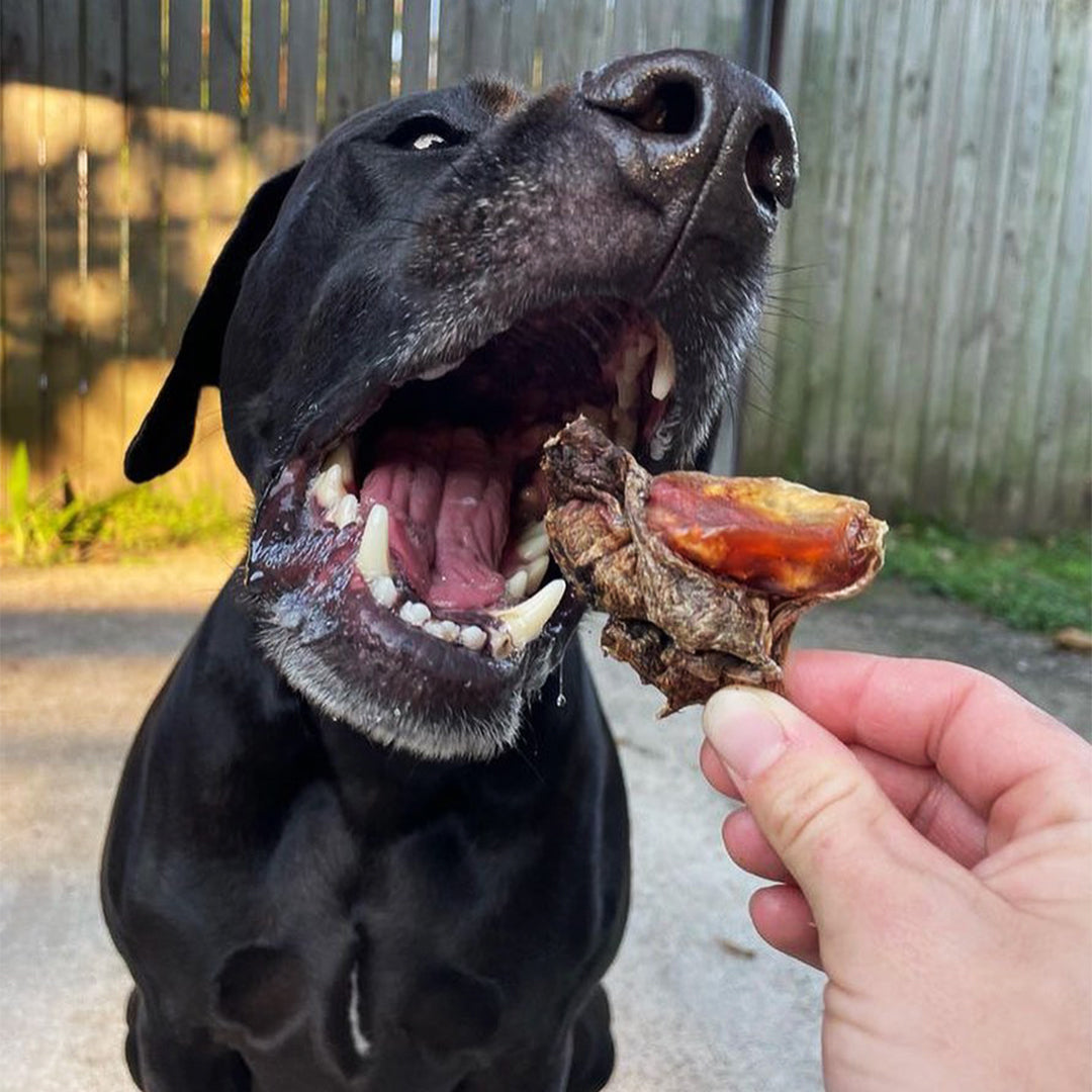 Slobber Slobber Chops Dog Treats Australia