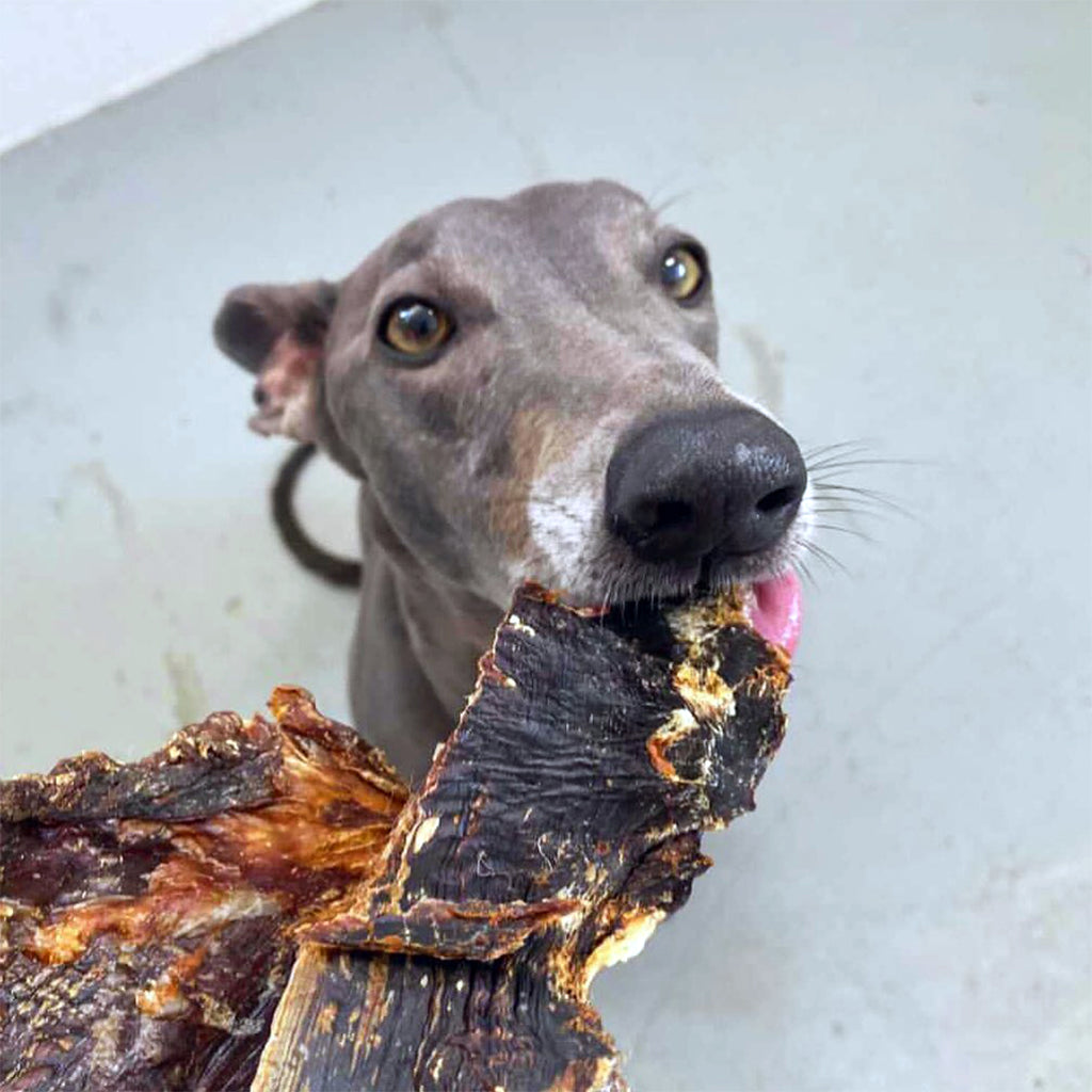 Roo Jerky Short - Dog/Cat Treats