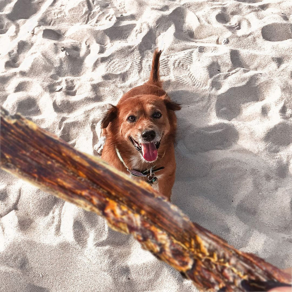 Roo Tendons + Jerky Strips