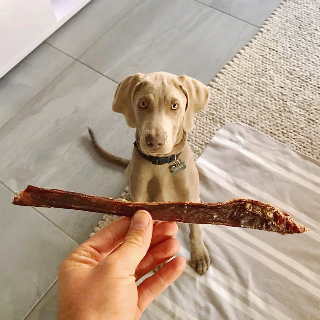 Roo Tendons + Jerky Strips