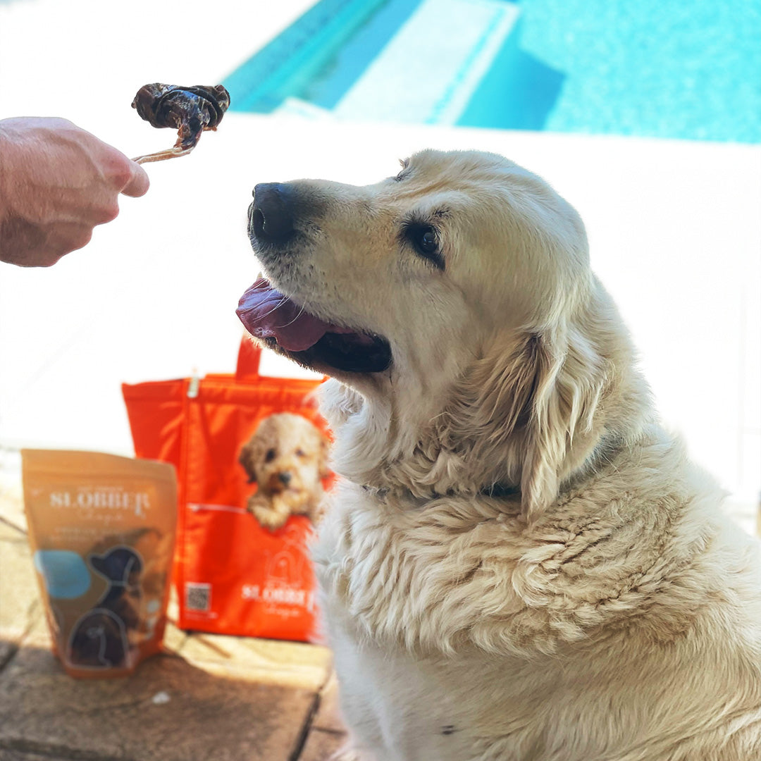 Roo Tendons - Dog Treats