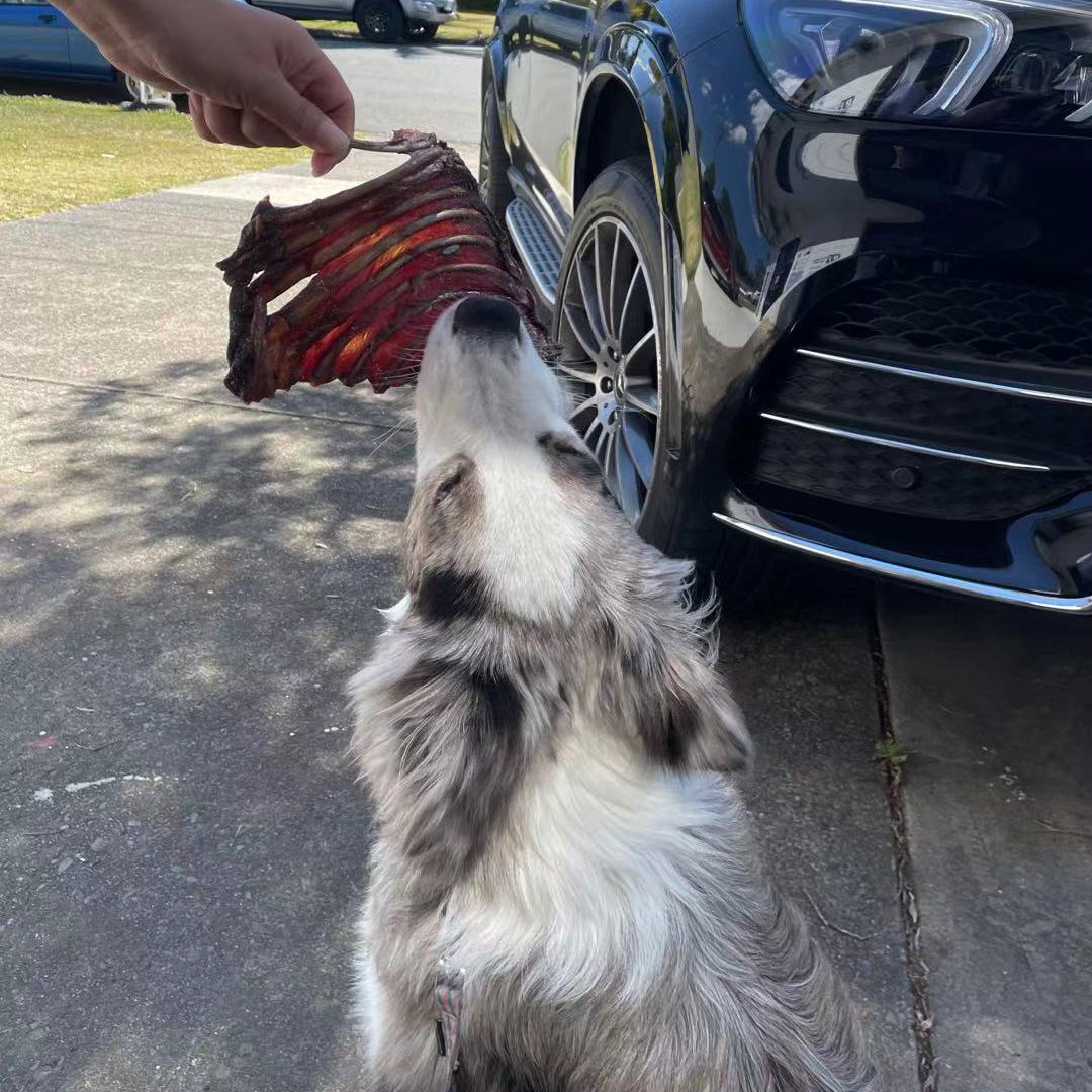 Roo Rib Rack - Dog Treat