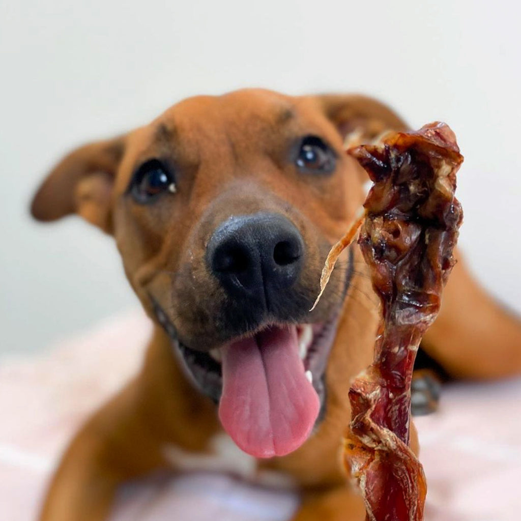 Roo Tendons - Dog Treats