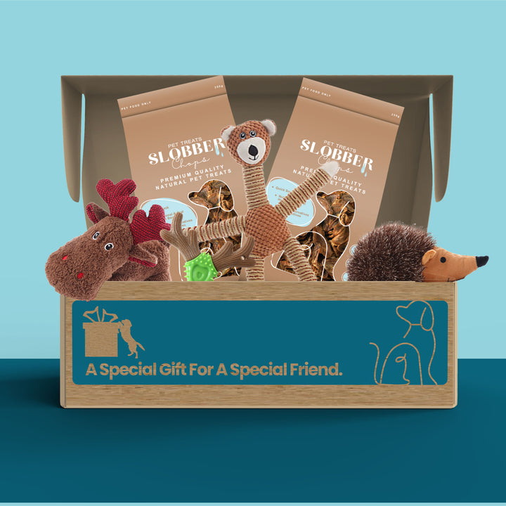 Dog Treat & Toys Present Box (Small)