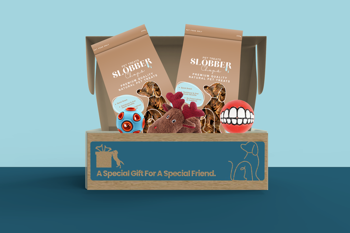 Dog Treat & Toys Present Box (Small)