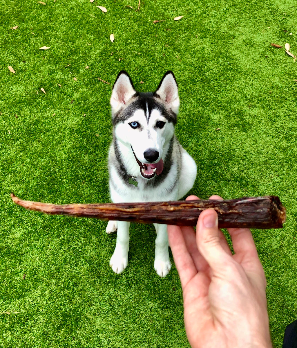 Roo Tail Tips - Dog Treats