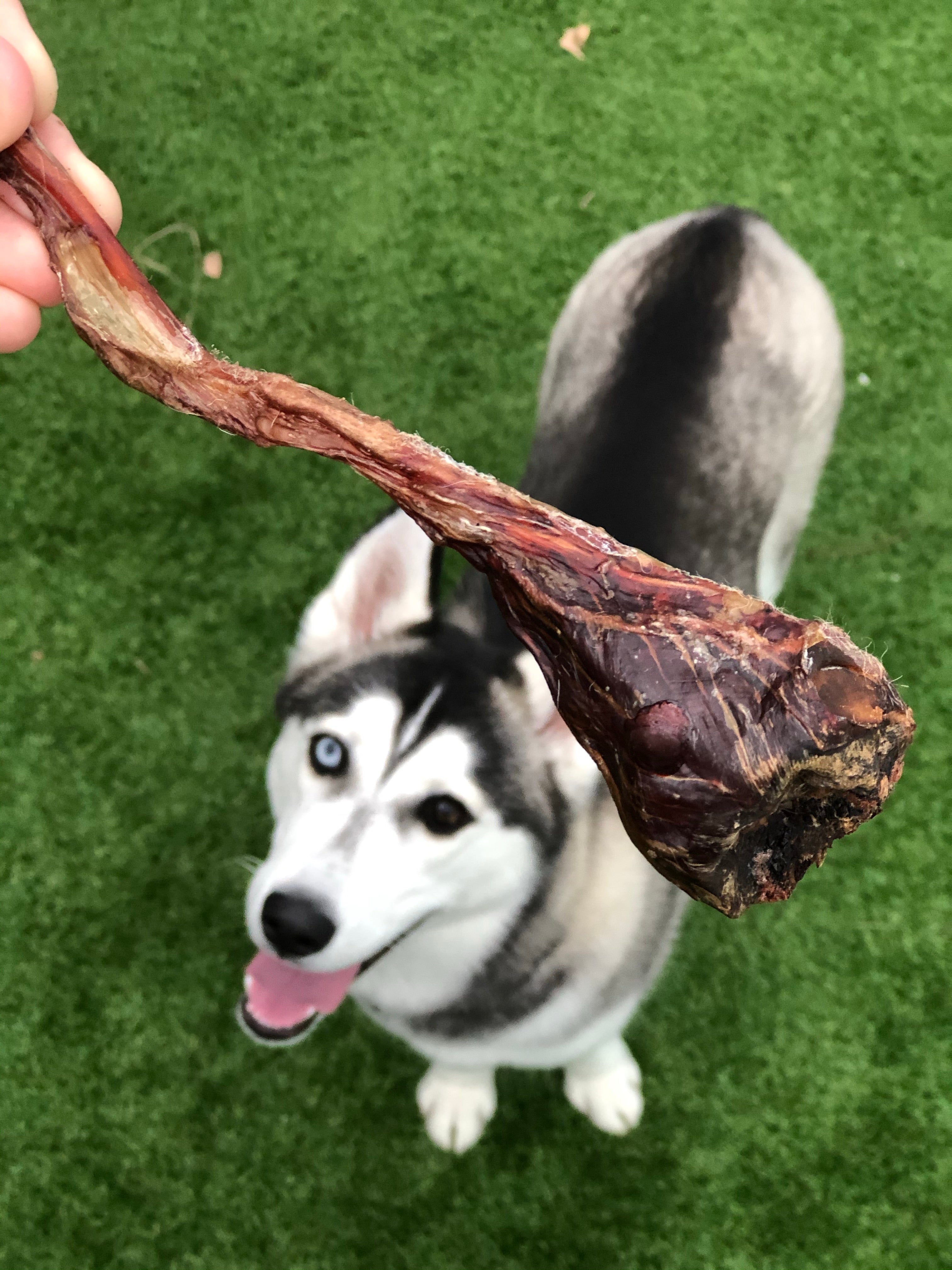 Roo Tendons - Dog Treats