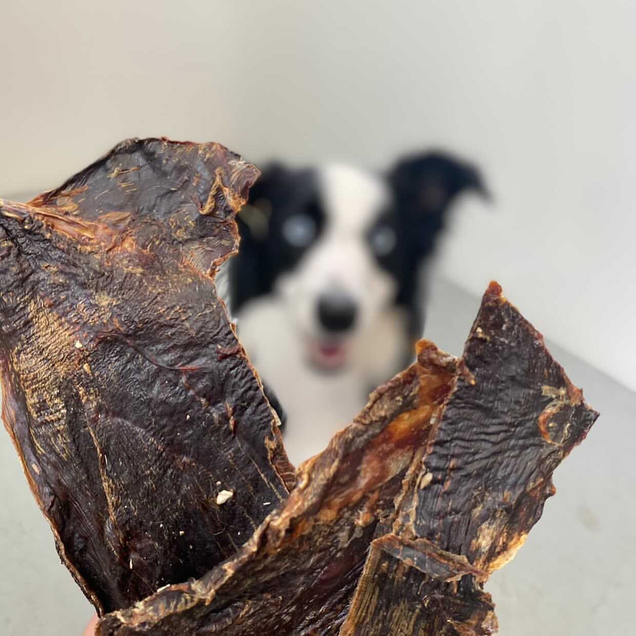 Roo Jerky Sheet - Dog Treat